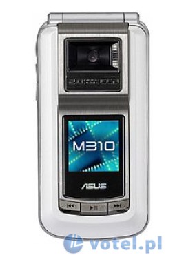 Asus M310