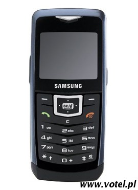 Samsung SGH-U100 