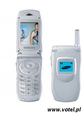 Samsung SGH-V100 