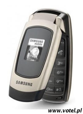 Samsung SGH-X500