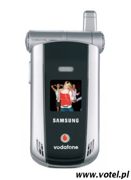 Samsung SGH-Z110V 